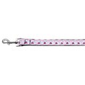 Unconditional Love Cakes and Wishes Nylon Ribbon Collars 1 wide 4ft Leash UN749640